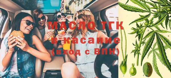 сатива Арсеньев