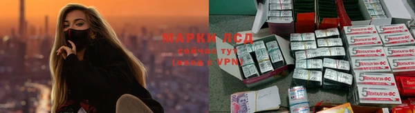 дживик Баксан
