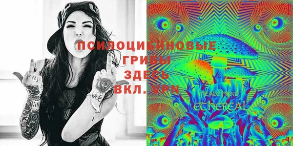 сатива Арсеньев