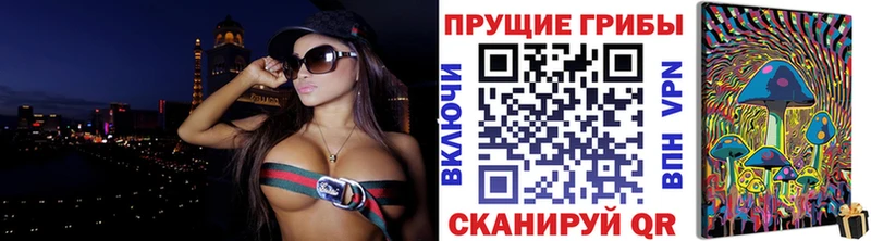 Псилоцибиновые грибы Psilocybe  Новодвинск 