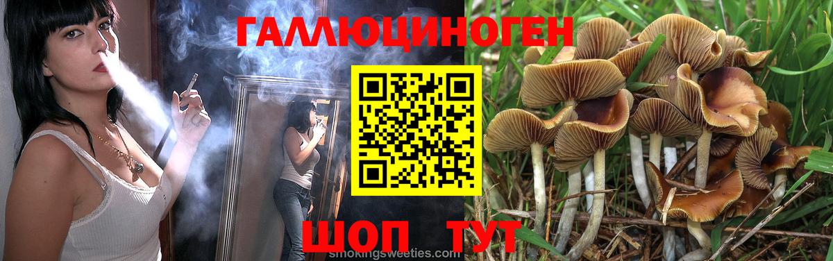 Псилоцибиновые грибы ЛСД  Вход с VPN  Новодвинск  Псилоцибиновые грибы MAGIC MUSHROOMS 