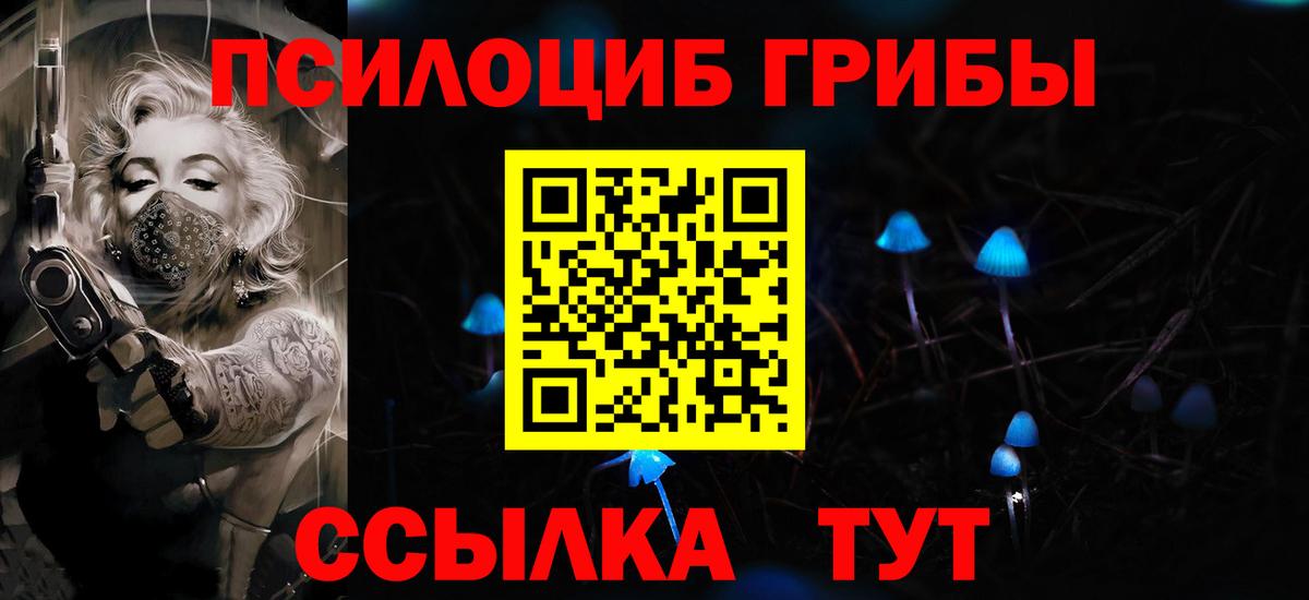 Галлюциногенные грибы Psilocybe Новодвинск