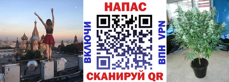 сколько стоит  Новодвинск  Канабис SATIVA & INDICA 
